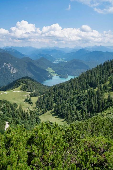 Bavarian forest you can visit in Germany Easter Images Free, Bavarian Forest, Living In Germany, Moving To Germany, Living In New Zealand, Easter Images, Easter Pictures, Vacation Days, Culture Shock