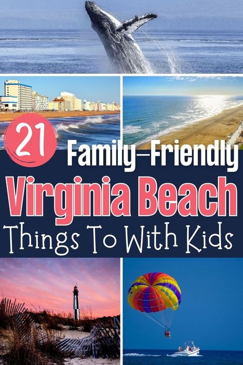 The many ways to explore Virginia Beach: whale tours, parasailing, lighthouse tours. Virginia Beach With Kids, Virginia Beach Things To Do In, Visit Virginia, Sandbridge Beach Virginia, Travel Virginia, Myrtle Beach Trip, Virginia Beach Vacation, Beach 2023, Best Family Beaches