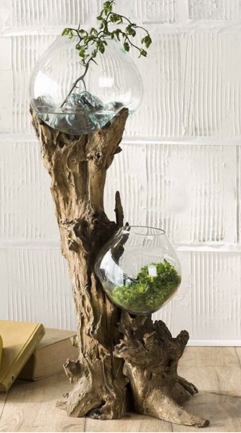 Driftwood and glass bowls - terrarium? Planter? Indoor water garden? Driftwood Vase, Arabian Market, Glass Blowing Ideas, Driftwood Terrarium, Glass Bowl Terrarium, Driftwood Garden, Boho Hippie Home, Driftwood Planters, Modern Terrarium