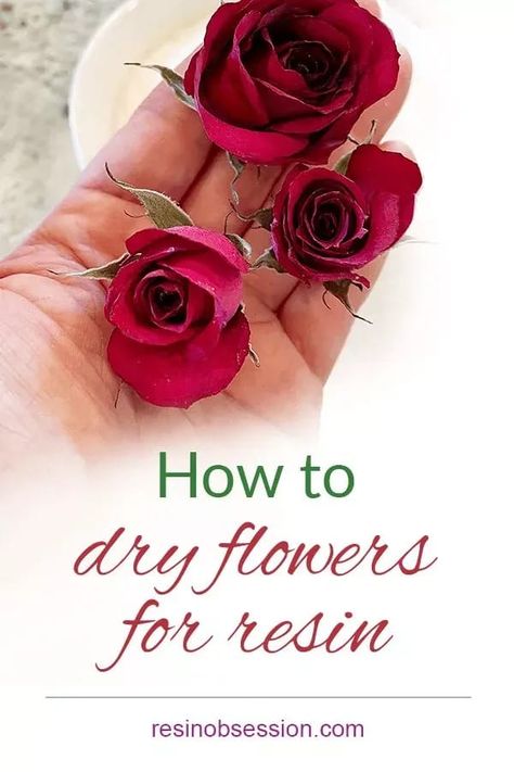 Learn easy way how to dry flowers for your next resin project. Simple steps plus the pro tips to having beautiful flowers for epoxy. How To Dry Out Flowers, Dry Flowers For Resin, Diy Resin Flowers, How To Dry Flowers, Flowers Step By Step, Drying Flowers, Dried Flowers Diy, Resin Art Supplies, How To Make Resin