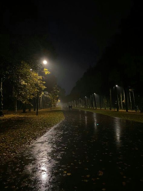 Calm Night Aesthetic, Rainy Weather Aesthetic, Night Rain Aesthetic, Rain Night, Rainy Sky, Rainy Street, Rain Pictures, Rainy Day Aesthetic, Night Walks