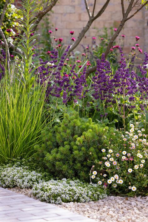 A garden in the East Suffolk countryside Naturalistic Landscape, Naturalistic Planting, Converted Barns, Suffolk Countryside, Limestone Pavers, Naturalistic Garden, Planting Design, Backyard Landscaping Plans, London Garden