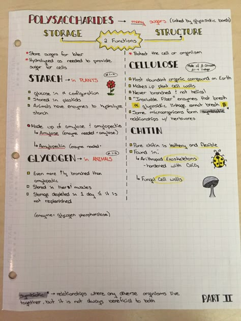 Carbohydrates (polysaccharides) Polysaccharides Notes, Carbohydrates Notes, Carbohydrates Notes Biology, Biomolecules Notes, Carbohydrates Biology, Biochemistry Notes Carbohydrates, Lipids Biochemistry, Protein Notes Biochemistry, Dehydration Synthesis And Hydrolysis