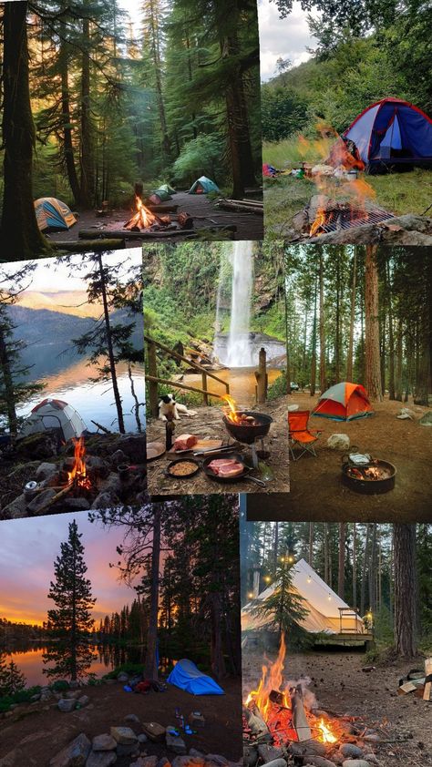 camping Woodland Camping, Green Camping, Forest Camping, Forest Camp, Outdoor Life, Forest, Camping, Green, Pins