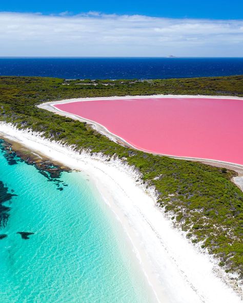 Pink Lake Australia, Blue Slushie, Western Australia Travel, Australia Vacation, Pink Lake, Strawberry Milkshake, Icy Blue, Australia Travel, Western Australia