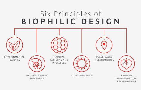 The Benefits of Biophilic Design | Thermory USA Blog Sustainable Store, Biophilic Architecture, Design Diagram, Conceptual Architecture, Architecture Concept Diagram, Biophilic Design, Concept Diagram, Hospital Design, Green Architecture