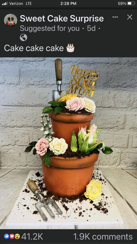 Garden Cake Ideas, Flower Pot Cake, Cake Surprise, Pot Cake, Event Planning Inspiration, Pot Cakes, Garden Cake, Garden Cakes, Cake Walk