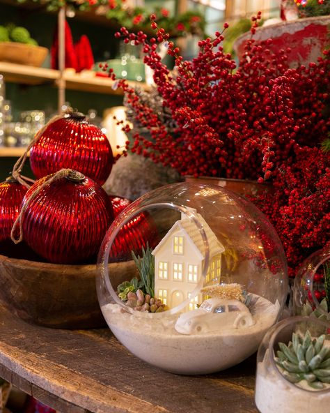 You can't have a Christmas tablescape without one of our Snow Globe Terrariums. Snow Globe Terrariums, Terrarium Christmas Ideas, Christmas Terrariums, Open Terrariums, Christmas Globes, Hanging Terrarium, Decor Event, Christmas Tablescape, Glass Bauble