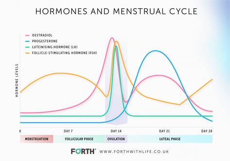 Female Energy Cycle, Low Thyroid Remedies, Congenital Adrenal Hyperplasia, Follicle Stimulating Hormone, Low Thyroid, Cycle Syncing, Progesterone Levels, Low Estrogen, Body Wellness