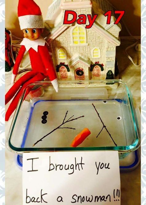 Elf on the shelf ides Elf On The Shelves, Classroom Elf, Elf Mischief, Timmy Time, Elf Of The Shelf, Christmas Elf Ideas, Elf Shelf, Christmas Elf On The Shelf, Melted Snowman