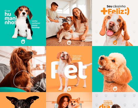 Pet Campaign Design, Pet Store Instagram Feed, Dog Social Media Post Ideas, Pet Social Media Design, Vet Social Media, Dog Social Media Post, Dog Branding Design, Petshop Design, Pet Social Media