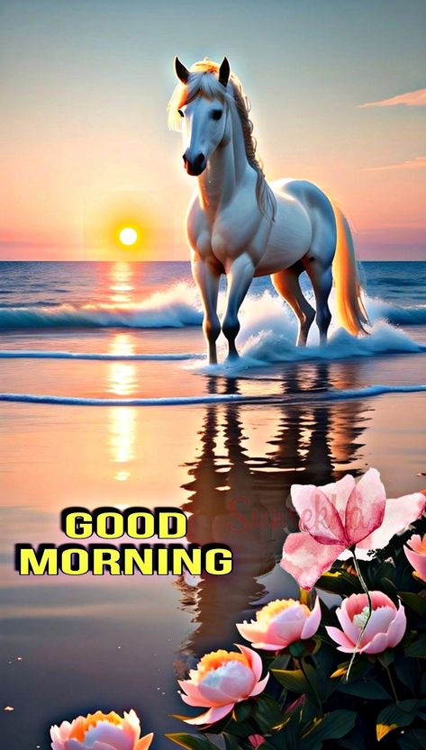 Beautiful Good Morning Status, With Horse's...🐎☀️🌿... Good Morning Status, Daily Wishes, Good Night Massage, Morning Status, Beautiful Good Morning, Day Of The Dead Art, Good Morning Beautiful Images, Beautiful Morning Messages, Good Morning Cards