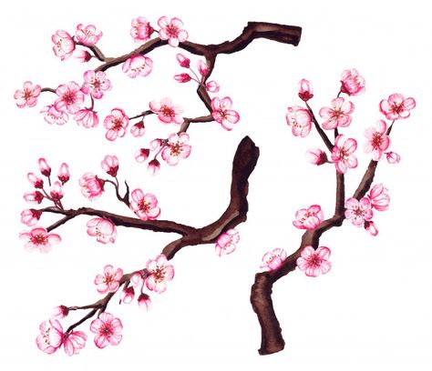 Cherry Blossom Tree Branch Drawing, Sakura Branch Painting, Cherry Tree Branch Drawing, Cherry Blossom Branch Drawing, Sakura Tree Drawing, Cherry Blossom Branch Tattoo, Sakura Tree Branch, Art Kid Aesthetic, Cherry Blossom Drawing