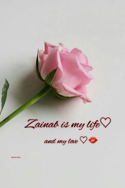 Zainab Name Dp, Love Feeling Images, Romantic Quotes For Him, Birthday Story, Chicano Tattoos Sleeve, Tattoos Sleeve, Friend Status, Name Dp, Z Wallpaper