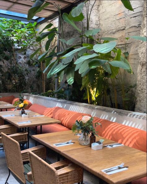 restaurant in medellin colombia with orange cushions and wickers chairs surrounded by plants Oasis Restaurant, Jungle Oasis, Places To Travel, Oasis, Restaurant, Coffee, Travel, Medellin