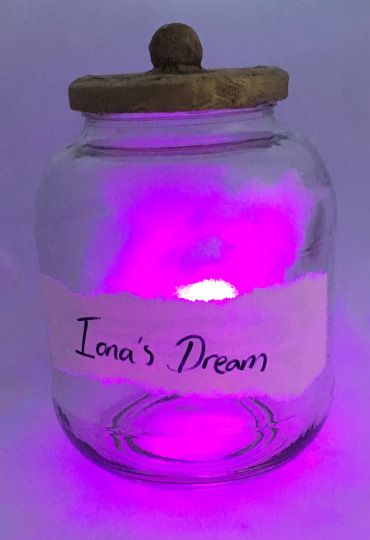 DIY BFG Dream Jar!!!! so easy! Rohl Dahl, Bfg Costume, Bfg Dream Jars, Roald Dahl Party, Book Week Costume Ideas, Book Characters Dress Up, Book Day Ideas, Roald Dahl Day, Dream Jar