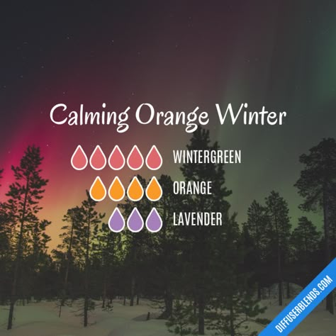 Winter Diffuser Blends, Best Smelling Essential Oils, Beeswax Diy, Wintergreen Essential Oil, Fall Essential Oils, Doterra Diffuser Blends, Essential Oil Combinations, Doterra Essential Oils Recipes, Essential Oil Diffuser Blends Recipes