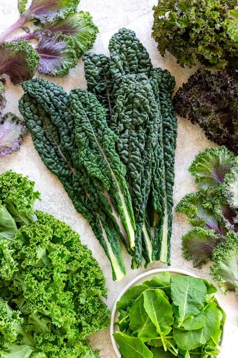 Kale is a superfood, so don’t let this vegetable slip you by. Kale has tons of health benefits and it can add interesting flavor to your meals. #kale #healthy #vegetables #salad via @foodiegavin Different Types Of Kale, Kale Benefits, Types Of Kale, Growing Cabbage, Kale Vegetable, Kale Plant, Meal Guide, Dinosaur Kale, Vegetables Salad