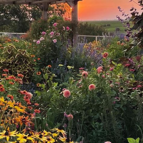 Lori Bochner on Instagram: "As a gardener and flower farmer, I’ve made so many mistakes. But I learn, and try again. And again. And try new things. And learn. It’s a process, but oh my what a beautiful process. 💫 The 2nd season of the magical Cottage Garden has officially come to an end. We had a hard freeze last night and cold weather is anticipated for the next week. This Cottage Garden honestly saved me in so many ways (which is a story for another day). I am grateful for the beauty she provided this season. And I’m excited to begin the process of planning for next season. I hope you’ll join me for the journey! I’m taking the lessons I learned from this year, and making some fun changes for 2024. I think it’s going to be more beautiful than ever. I hope. Delusion? Maybe, Me As A Plant, Me As A Season, How Pinterest Sees Me Season, What Season Am I, Me Season, Magical Cottage, Flower Season, Happy Autumn, My Plant