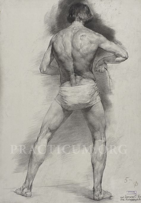 Male Figure Drawing, Body Sketches, Master Drawing, Academic Art, Human Drawing, Art Of Man, Figure Sketching, Poses References, Inspirational Artwork