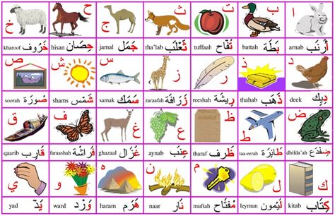 The Arabic alphabet and some basic vocabulary. Alphabet With Pictures, Arabic Alphabet Chart, Spoken Arabic, Arabic Alphabet Letters, Learn Arabic Online, Teach Arabic, Alphabet Pictures, Alphabet Songs, Learn Arabic Alphabet