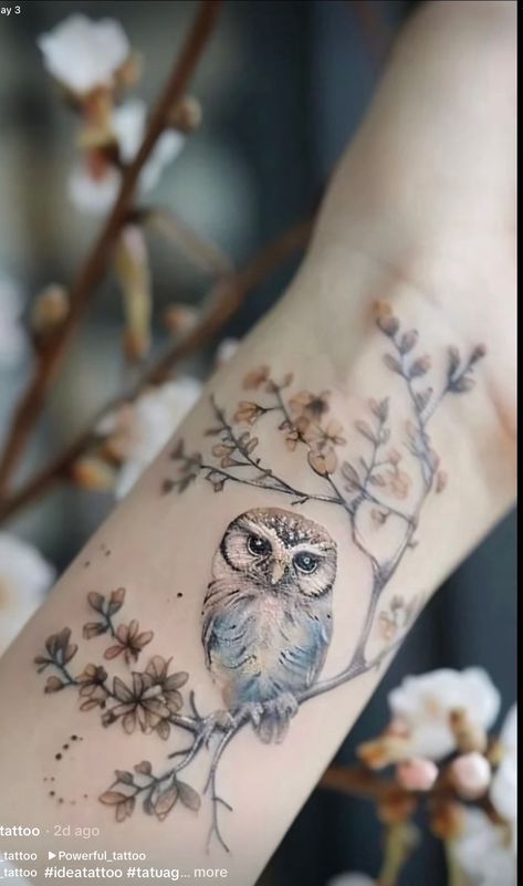 Owl Collar Bone Tattoo, Women’s Owl Tattoo, Baby Owl Tattoo For Women, Dainty Owl Tattoo For Women, Owl Shoulder Tattoos For Women, Womens Tattoo Ideas Unique Beautiful, Owl On Branch Tattoo, Wildflower Wrist Tattoo, Floral Owl Tattoo