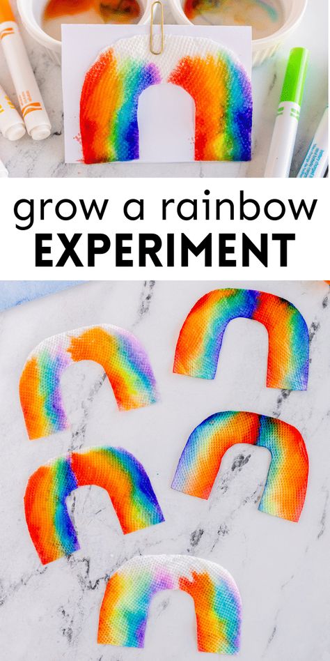 Growing Rainbow Experiment, Rainbow Water Science Experiment, Stem Ideas For 1st Grade, Colorful Science Experiments For Kids, Spring Science Experiments For Toddlers, Rainbow Math Preschool, Rainbow Stem Activities Preschool, Art Experiences For Preschoolers, Kindergarten Rainbow Art