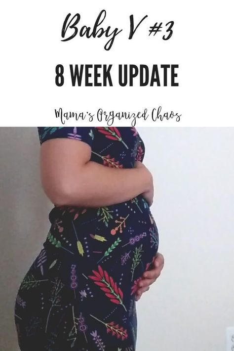 Baby V#3 Week 8 Update | Mama's Organized Chaos 8 Week Baby Bump, Week 8 Pregnancy, Logan Michael, 8 Weeks Pregnant, Pregnancy Countdown, Pregnancy Bump, Baby Schedule, Lifestyle Articles, Pregnancy Information