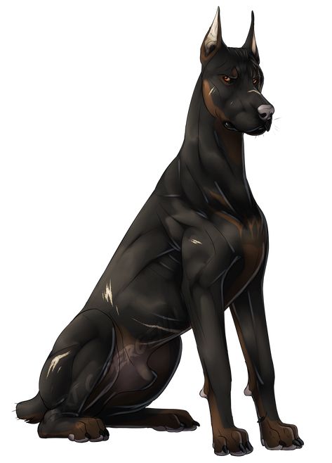 Name: thunder. Gender: male Ranking: Head hunter Make My Day, My Day, Doberman, White, Black