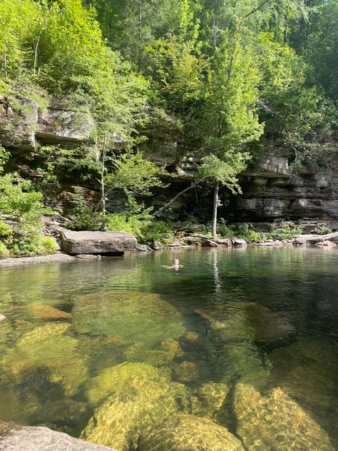 clear creek river forest swimming hole nature water Creek Aesthetic Nature, Riverclan Aesthetic, Creek Aesthetic, Creek Water, Forest Creek, River Retreat, Old Cabin, Top Aesthetic, Swimming Hole