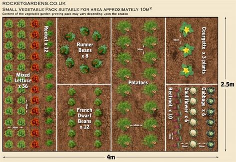 Are you ready to plant your garden, but are feeling a little unsure of how to lay it out? Here's a collection of vegetable garden plans and layout to inspire you to start your garden this year. Plantarea Legumelor, Small Garden Layout, Garden Planning Layout, Garden Plot, Vegetable Garden Planner, Vegetable Garden Raised Beds, Garden Layout Vegetable, Small Vegetable Gardens, Vegetable Garden Planning