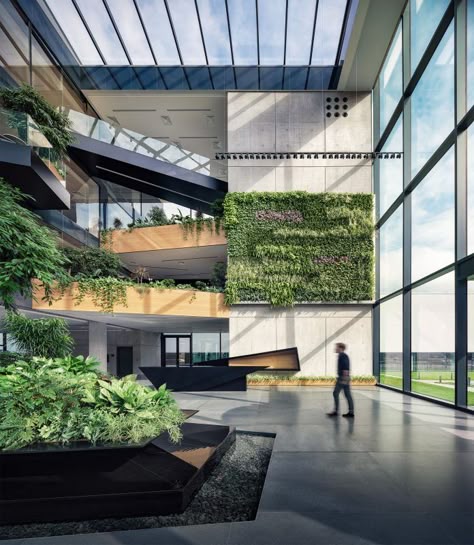 Biophilic Office, Administrative Building, Atrium Design, Armstrong Ceiling, Office Building Architecture, Exposed Concrete, Architectural Photographers, Building Architecture, Green Building