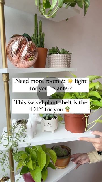 Katie Unicorn | Home & Garden Design on Instagram: "This swivel plant shelf DIY - originally sourced from @neverskipbrunch - has got to be the cutest and practical! solution for your plant babies 🪴   This shelf does it all: Swivels so your plant babies can get the even light they need, stacks your plants vertical so you have more room to grow your collection, AND adds a beautiful feature to your room you can change up anytime you want. Like movable living art. I love that it’s a functional and fun solution.   PRO TIPS:  🪴 When drilling your holes in the shelves, drill them at a slight angle so the shelves remain level once they have the plants on them so they don’t ‘slant’ or sag from the weight. (Drill some test holes in a scrap piece of wood to test it out!) 🪴Make sure you prime your Diy Swivel Shelf, Swivel Shelf For Plants, Plant Shelf Diy, Diy Plant Shelf, Window Plant Shelf, Plant Parenthood, Succulent Ideas, Shelf Diy, Plant Window