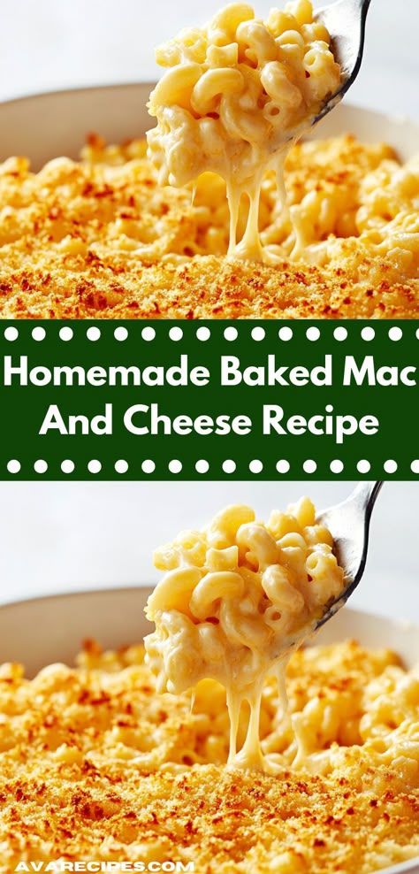 This easy Homemade Baked Mac and Cheese combines al dente pasta with a velvety cheese sauce, topped with a crunchy breadcrumb layer. It's a delightful and satisfying dish that's sure to please everyone. Homemade Baked Mac And Cheese, Homemade Mac And Cheese Recipe Baked, Creamy Baked Mac And Cheese, Homemade Mac And Cheese Recipe, Baked Mac And Cheese Recipe, Homemade Mac And Cheese, Cheese Homemade, Savory Recipe, Baked Mac N Cheese