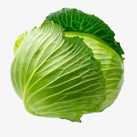 Seasoning For Cabbage, Cabbage Health Benefits, Cabbage Benefits, Raw Cabbage, Vegetable Pictures, Biennial Plants, List Of Vegetables, Cooked Cabbage, Home Garden Plants