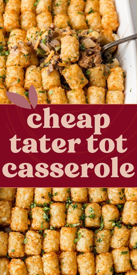 Whip up this delicious Tater Tot Casserole with ground beef for an easy, budget-friendly meal! You can also make it vegetarian with simple swaps, perfect for the whole family. Hamburger Casserole Recipes Tater Tots, Ground Beef Recipes For A Crowd, Hamburger Tater Tot Casserole Recipes, Tator Tots Casserole Hamburger, Cheap Meals On A Budget Families, Meals For Large Groups, Easy Winter Soups, Cheesy Tater Tot Casserole, Easy Tater Tot Casserole