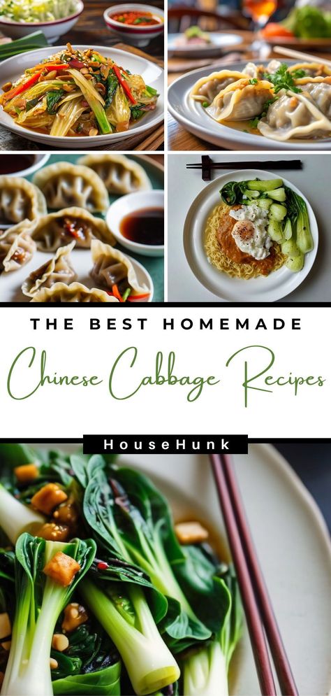 Elevate your meals with the crispness of bok choy and the sweetness of napa cabbage! Explore 20 delightful Chinese cabbage recipes, from savory stir-fries to refreshing salads and more. Get ready to infuse your dishes with the unique flavors of Chinese cuisine. With easy-to-follow steps, you'll be on your way to culinary mastery! Asian Cabbage Recipes, Chinese Cabbage Recipe, Broth Soups, Nonveg Recipes, Quick Pickle Recipe, Refreshing Salads, Island Recipes, Chinese Foods, Asian Noodle