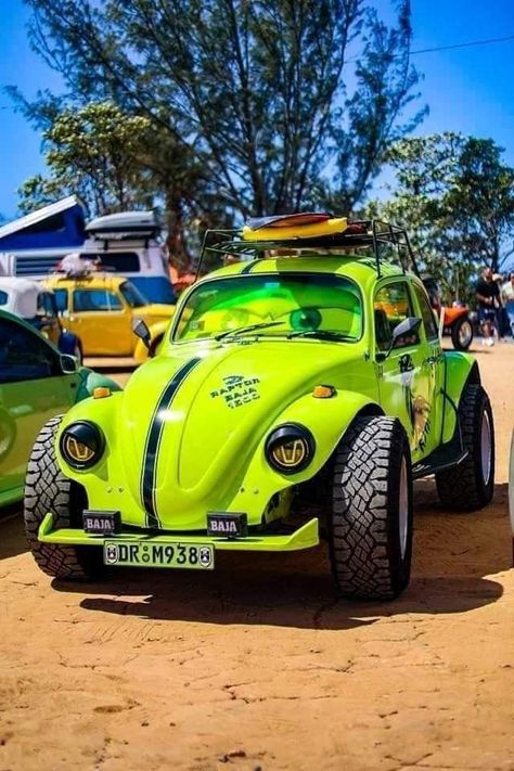 Baja Beetle, Vw Baja Bug, Vw Baja, Hot Vw, Vw Ideas, Vw Sedan, Baja Bug, The Beetle, Volkswagen Bug