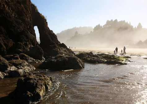 Neskowin Beach Oregon, Neskowin Oregon, Oregon Trip, Oregon Vacation, Sydney Beaches, Oregon Photography, Pacific City, Quiet Beach, Central Oregon