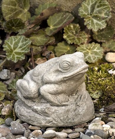 Tiny Frog cast stone frog statue Garden Frog Statue, Backyard Gifts, Frog Garden, Campania International, Garden Frogs, Frog Statues, Pet Cemetery, Concrete Statues, Stone Lantern