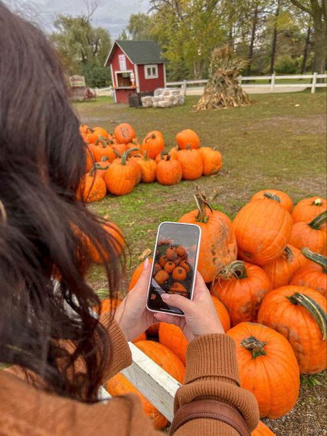 Fall Photos Pumpkins, Pumpkin Patch Aesthetic Outfits, Apple Orchard Instagram Pictures, Florida Fall Aesthetic, Apple Picking Poses, Fall Apple Picking Aesthetic, Pumpkin Picking Pictures, Pumpkin Picking Aesthetic, Apple Orchard Aesthetic