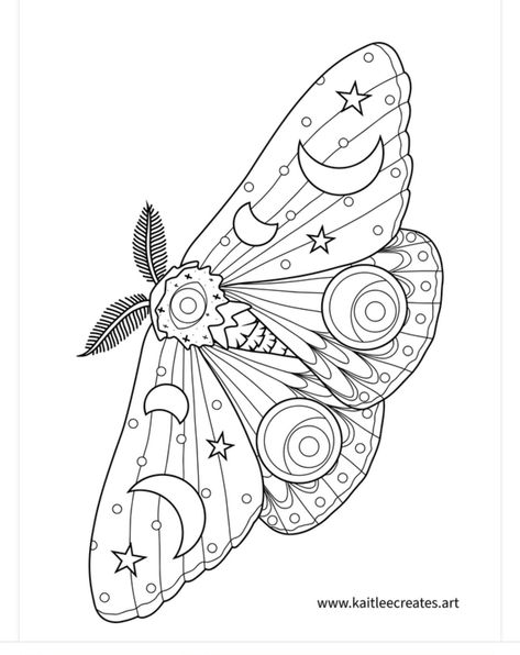 Black And White Moth Drawing, Moth Colouring Page, Pencil Outline Drawings, Procreate Stencils, Moth Outline Tattoo, Moth Tattoo Outline, Moth Line Drawing, Moths Drawing, Moth Coloring Page