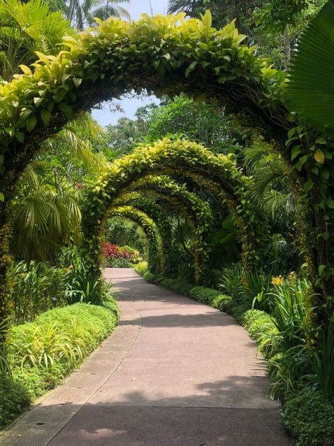 Entrance Arbor, Forest Entrance, Front Lawn Landscaping, Tropical Interior Design, Large Backyard Landscaping, Jungle Resort, Front Garden Landscape, Garden Entrance, Farm Design