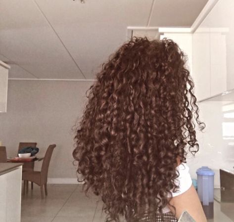 Healthy 3b Hair, Long 3b Hair Aesthetic, Curly Hair Asethic, 3b Curly Hair Aesthetic, 3a 3b Hair, 3b Hair Aesthetic, Long 3b Hair, Long Healthy Curly Hair, 3b Hair Type