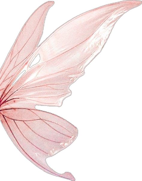 Aesthetic Pink Wallpaper Iphone, Fairy Wings Aesthetic, Wallpapers Pastel, Aesthetic Pink Wallpaper, Pink Scrapbook, Face Collage, Wings Png, Butterfly Cutout, Wings Wallpaper