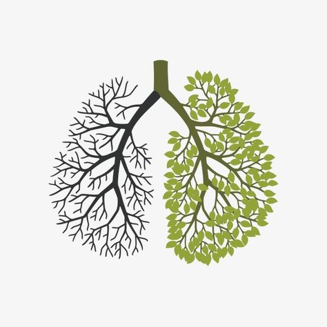 Best Cough Remedy, Healthy Lungs, World Health Day, Pharmaceutical Industry, Natural Cough Remedies, Health Day, Aesthetic Coffee, Anatomy Art, Lock Screen