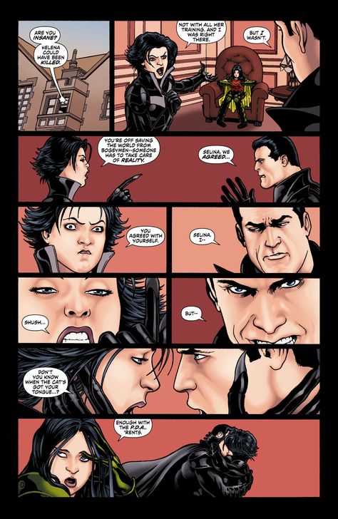 Helena Wayne, Bruce And Selina, Catwoman Comic, Batman And Catwoman, Arte Dc Comics, Angry Cat, Batman Universe, Im Batman, Dc Memes