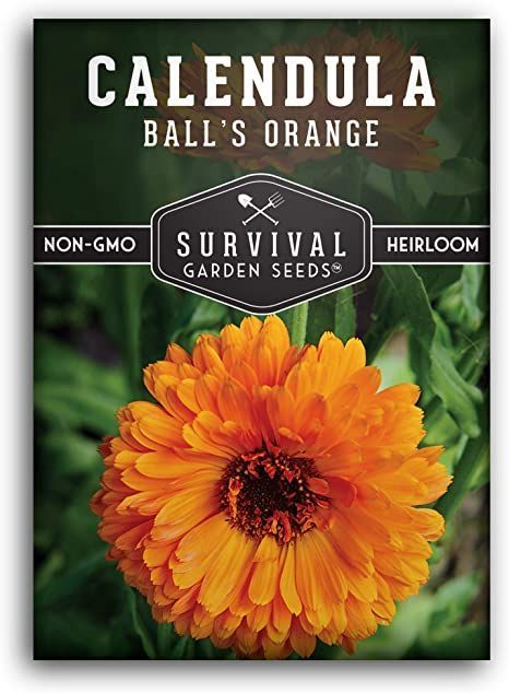 Survival Garden Seeds - Ball's Orange Calendula Seed for Planting - Packet with Instructions to Plant and Grow Medicinal Herb Plants in Your Home Vegetable Garden - Non-GMO Heirloom Variety Pot Marigold, Survival Garden, Garden Trains, Herb Plants, Hollyhocks Flowers, Seed Balls, Folk Medicine, Flower Seeds Packets, Medicinal Herb