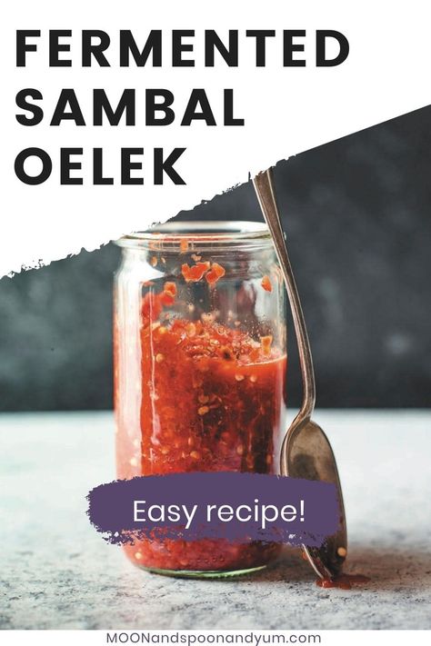 How To Make Sambal Oelek, Fermented Thai Chili Sauce, Fermented Chili Sauce, Homemade Sambal Oelek, Fermented Chilli Sauce, Sambal Oelek Recipe, Sambal Sauce Recipe, Fermented Hot Sauce Recipe, Chili Paste Recipe