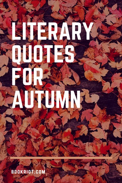 Fall Reading Quotes, Fall Book Quotes, Autumn Aesthetic Quotes, Quotes For Autumn, Quotes For Fall, Quotes About Autumn, Quotes About Fall, Book Quotes Aesthetic, First Day Of Autumn